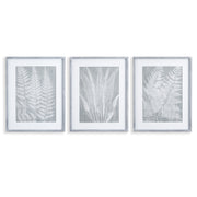 Fern Frond Prints, Set Of 3