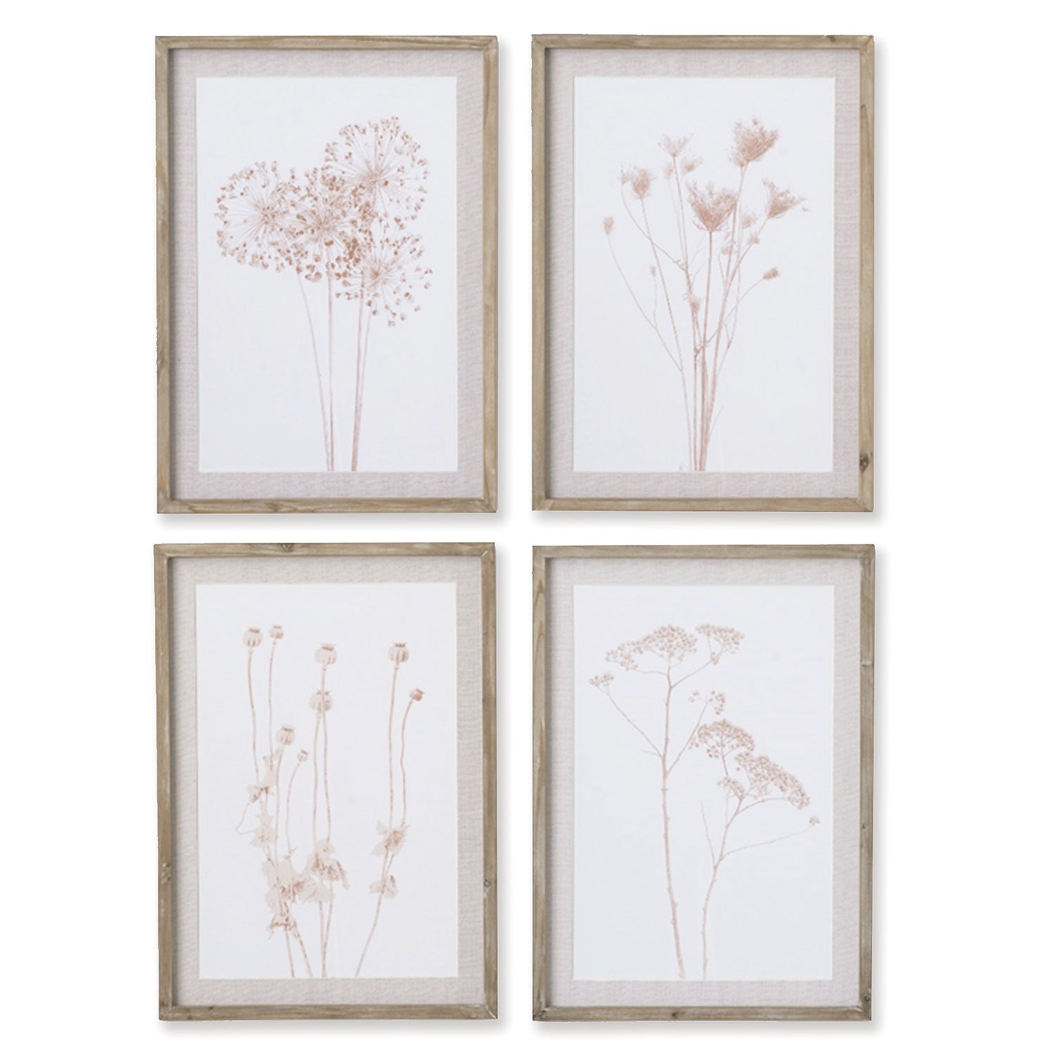 Stylized Botanical Prints, Set Of 4