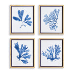 Indigo Seaweed Prints St/4