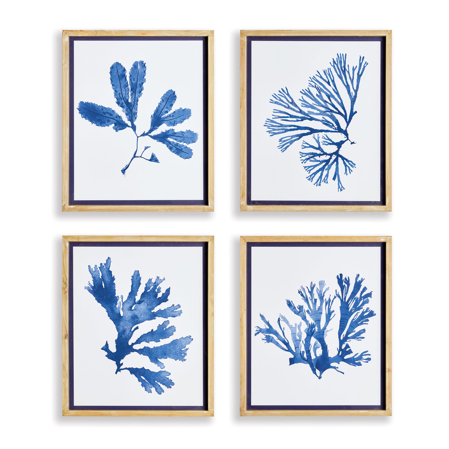 Indigo Seaweed Prints St/4