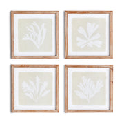 Seaweed Petite Prints, Set Of 4