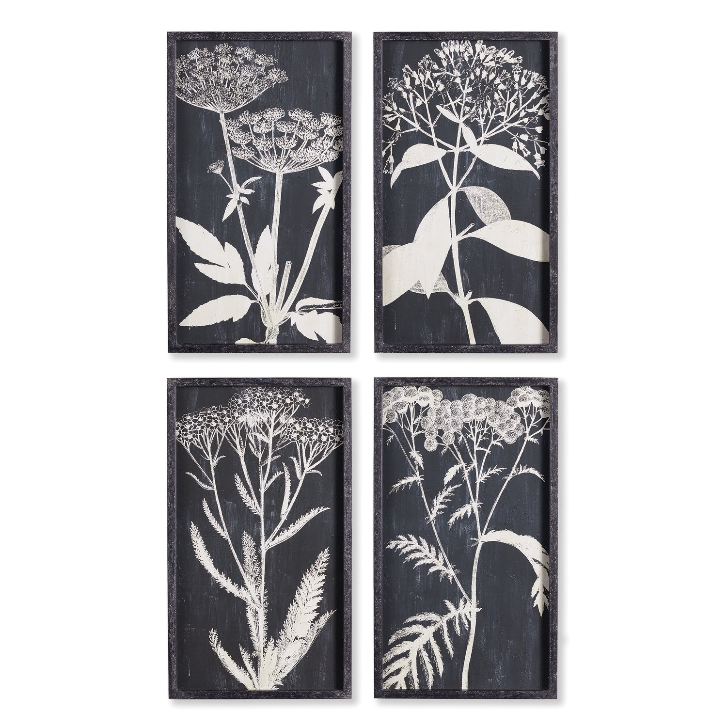 Monochrome Queen Anne'S Lace Prints, Set Of 4