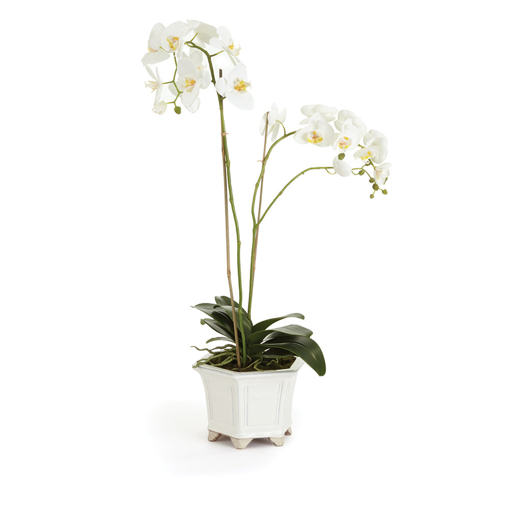 Barclay Butera Phalaenopsis In Ceramic Pot 31"